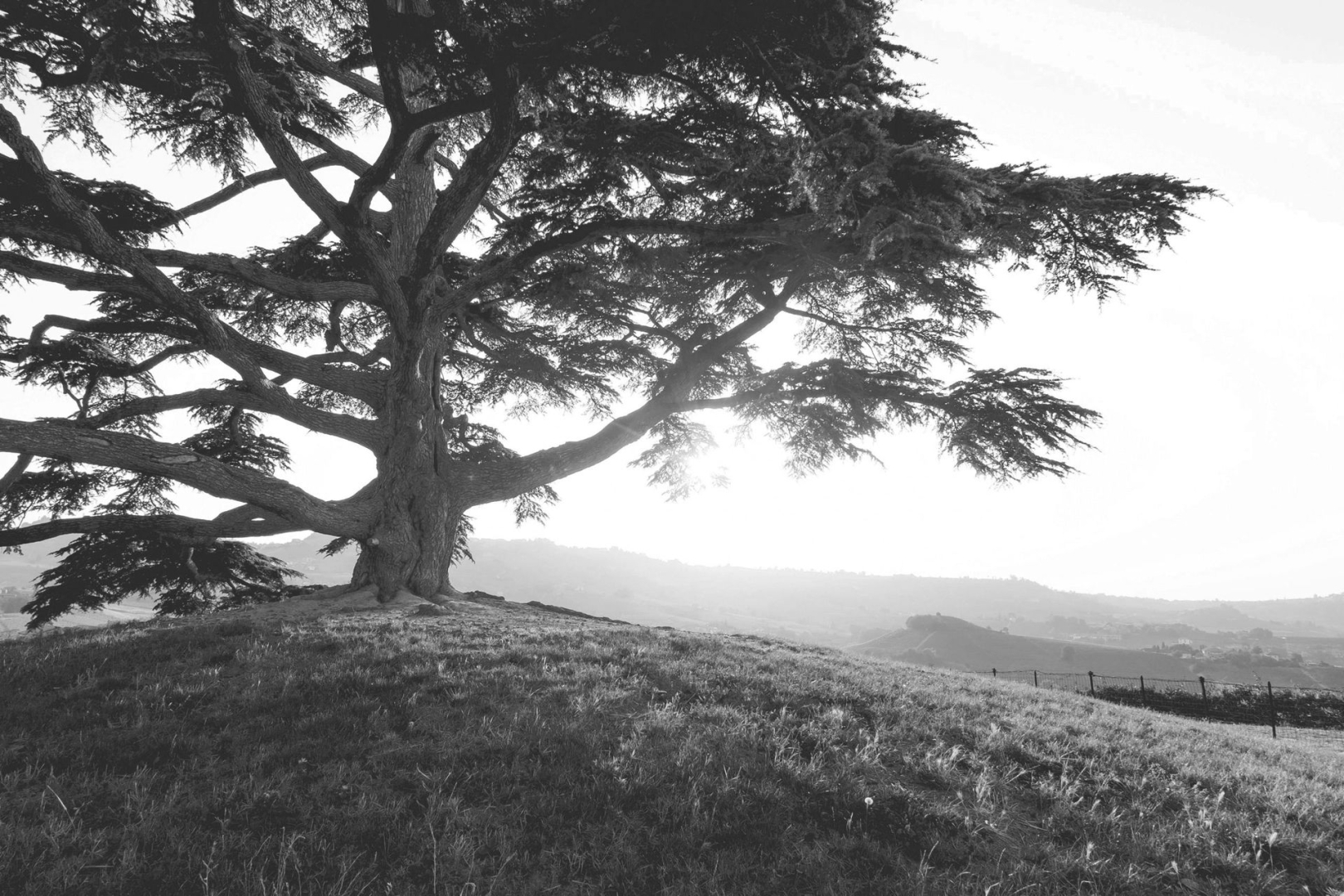 About us - LEGNO MİMARLIK