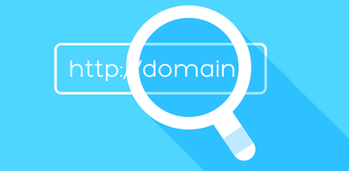 Domain Sorgulama
