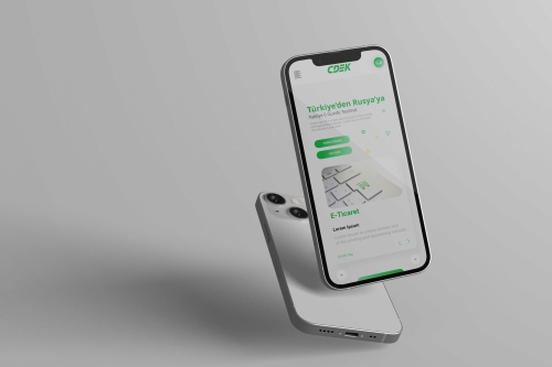 Neden Mobil Uyumlu Web Sitesi
