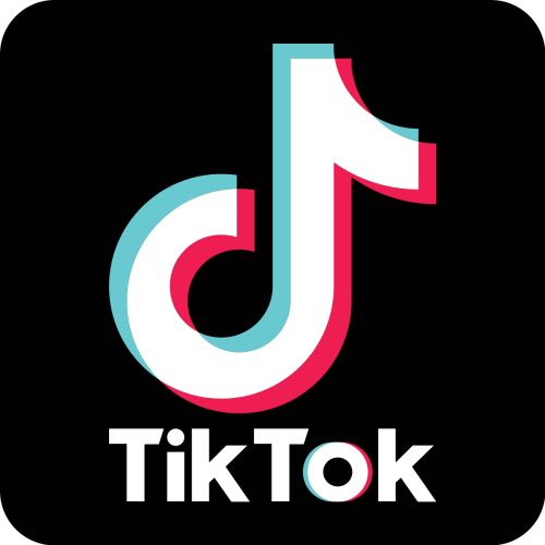 Tiktok İçerik Fikirleri